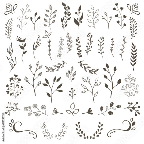 Hand Drawn Vector Floral elements 