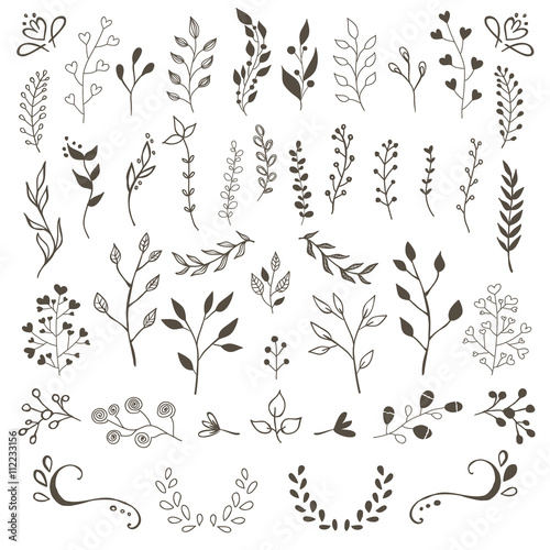 Hand Drawn Vector Floral elements
