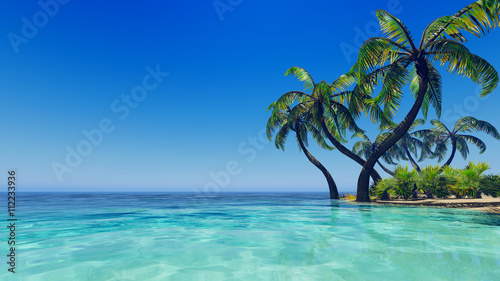 Tropical blue sea palms