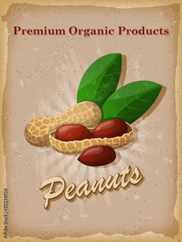 Peanuts vintage poster. Vector illustration.