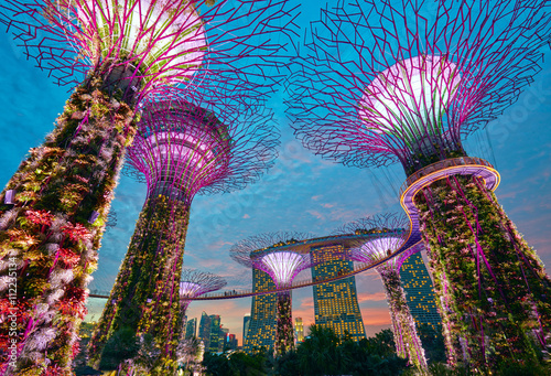 Singapore city skyline. Gardens by the Bay