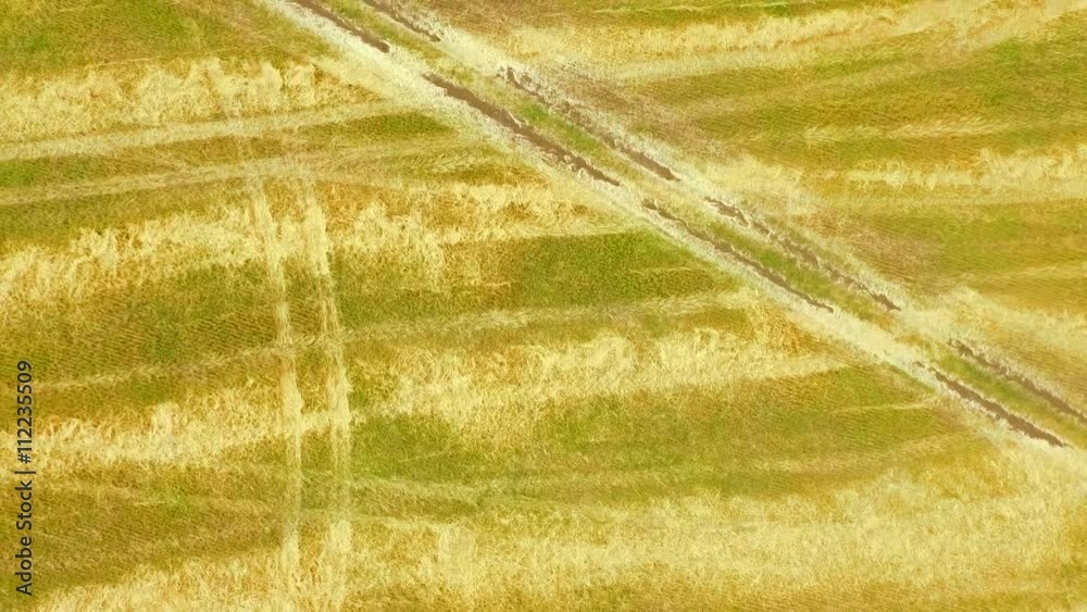 Aerial view of beautiful aged rye field on a cloudy day. Agriculture concept. Aerial view of beautiful aged rye field on a cloudy day. Agriculture concept.