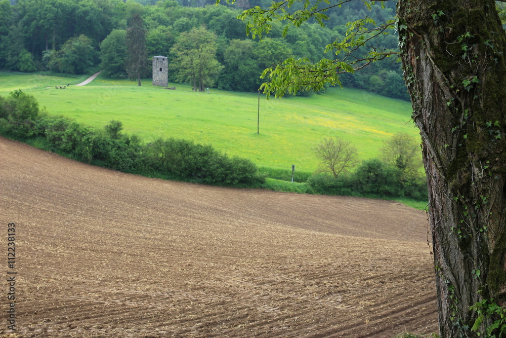 Eichenstamm mit Vierritterturm in Hemsbach im Hintergrund StockFoto