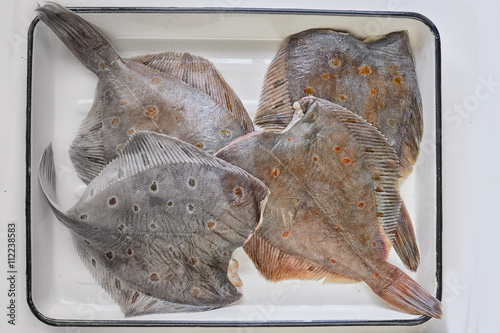 Fresh fishes flounder