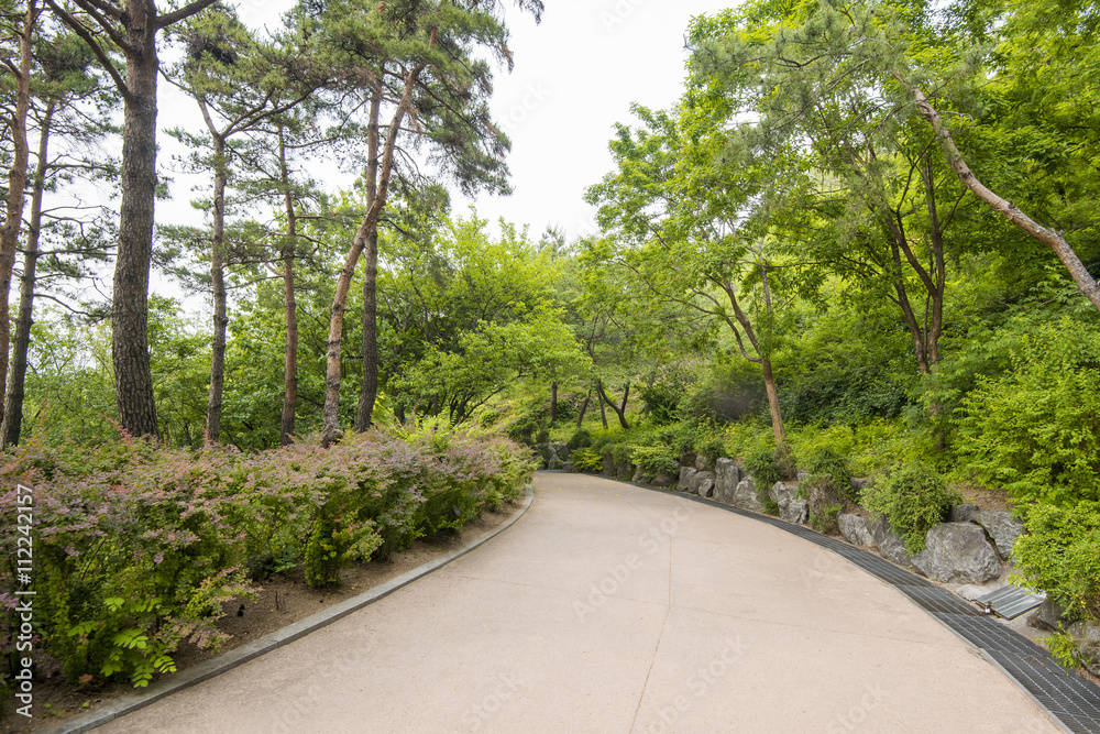 SEOUL,South Korea - MAY 24:Korea trees in city. MAY 24, 2016 in