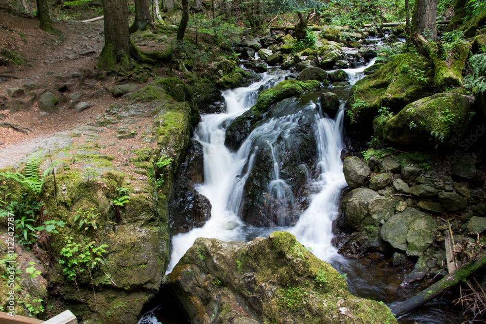 Fototapeta premium idyllischer Wasserfall