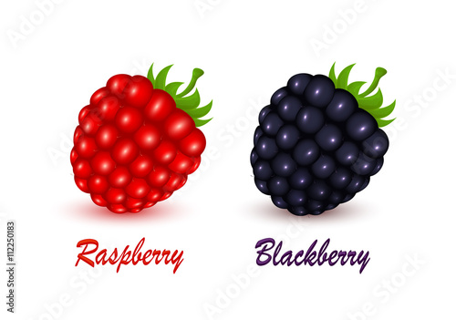 Raspberry and blackberry