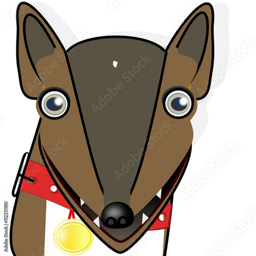 Perro lobo