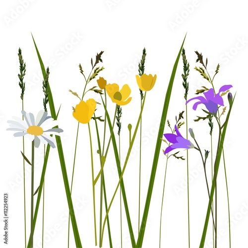 Flowers in meadow, isolated vector