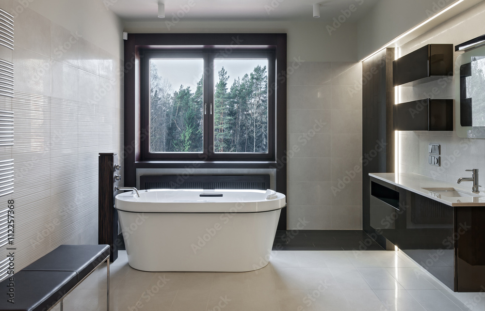 Luxury bathroom interior