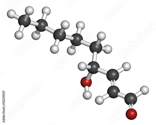 4-Hydroxynonenal (HNE) molecule. photo