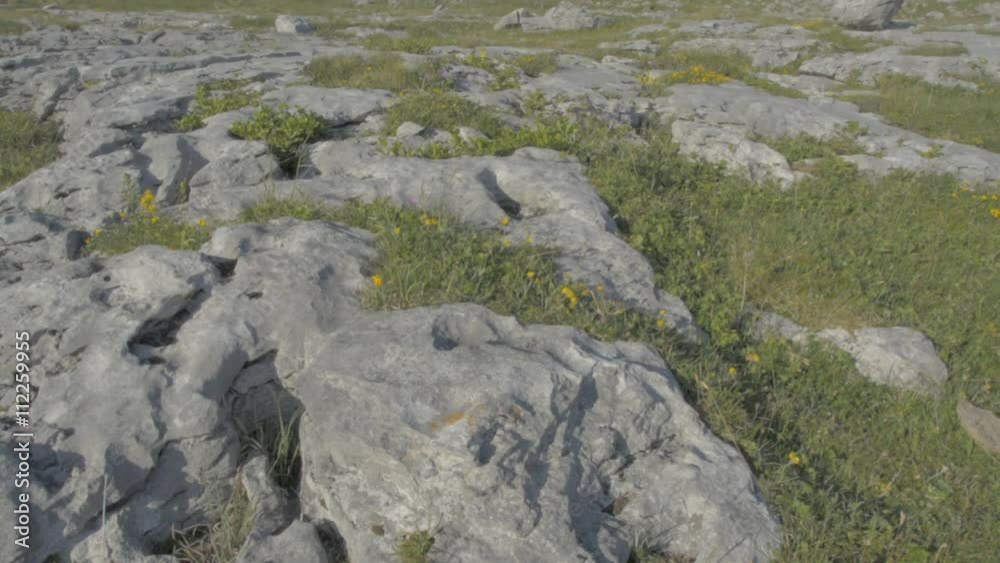 Famous Burren National Park Landscape In County Clare, Ireland, Special Area of Conservation - Flat video profile. Famous Burren National Park Landscape In County Clare, Ireland, Special Area of Conservation - Flat video profile.