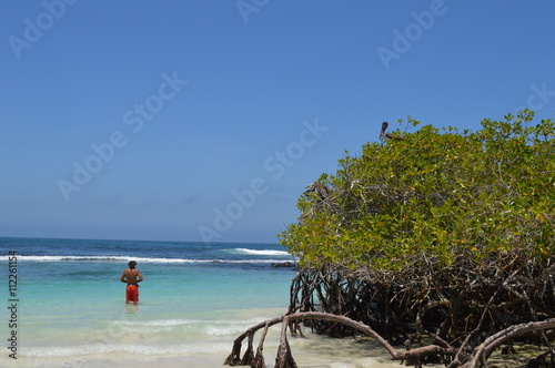 Fototapeta Naklejka Na Ścianę i Meble -  Isla Isabela, perteneciente a las Islas Galapagos. Playa paradisiaca