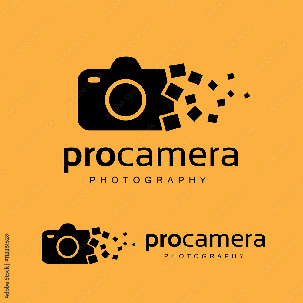 Logo for Icons for Photographers,Photography logo. Camera logo template. Vector logo template.
