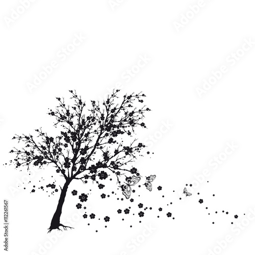 cherry branch