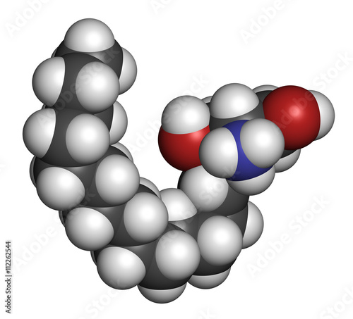 Sphingosine lipid molecule. 3D rendering.  photo