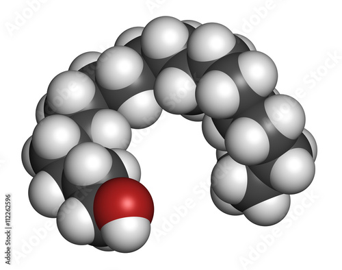 Stearyl alcohol molecule. Constituent of cetostearyl alcohol. photo