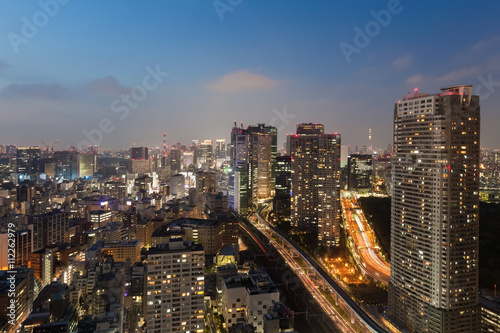 Tokyo cityscape and tokyo sky tree at night © torsakarin