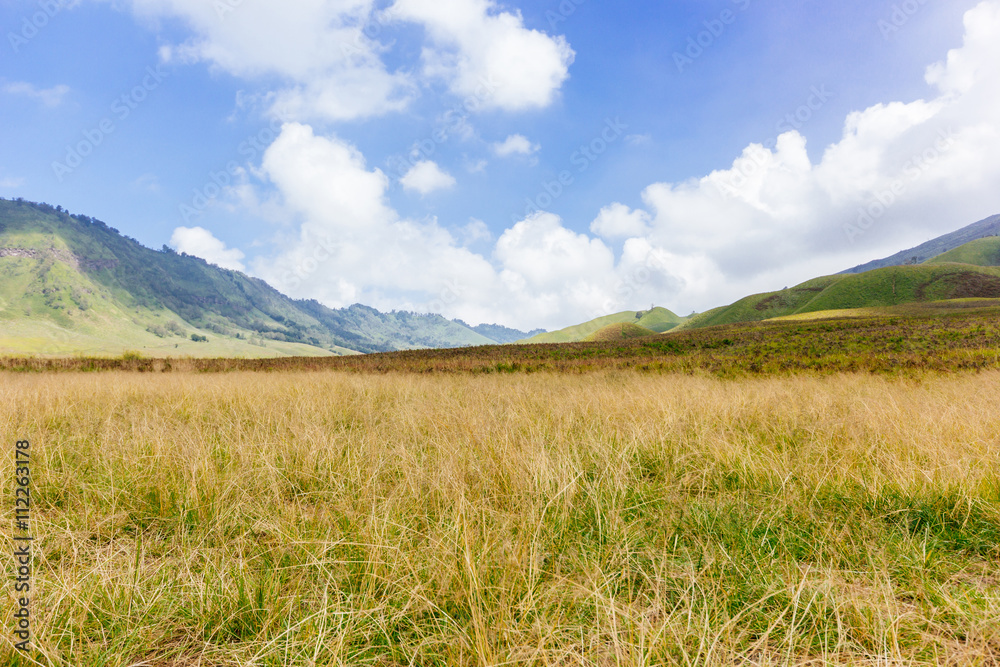 Obraz premium Mount Bromo Savannah