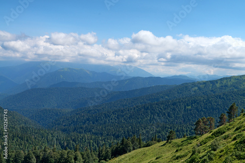Scenic landscape with mountain forest © Yakov