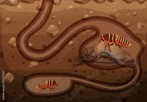 Underground scene with cockroaches