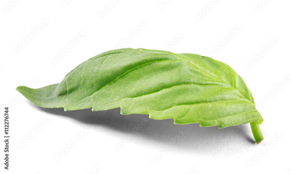 Obraz premium Fresh basil leaf isolated on white