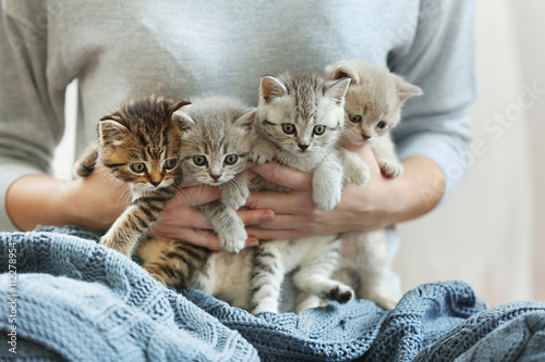 Tela Woman holding small cute kittens