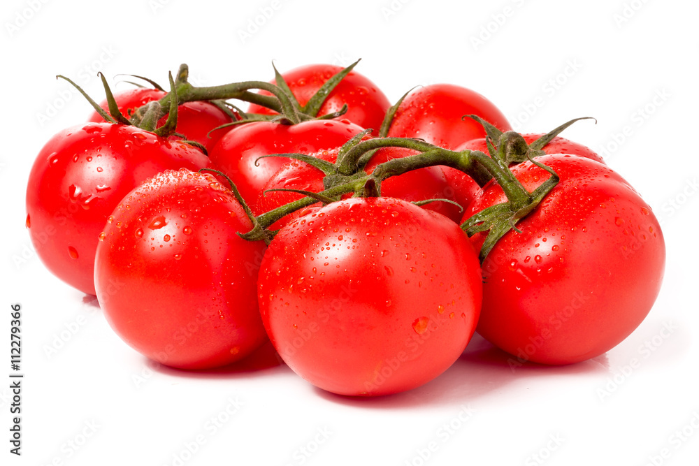 Tomato branch with water droplets isolated on white background Tomato branch with water droplets isolated on white background