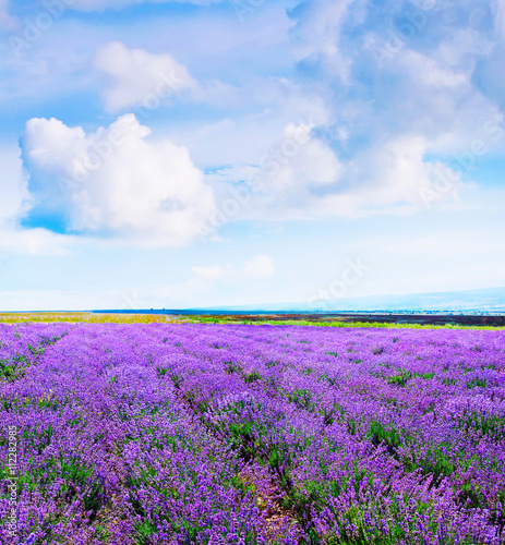 nature in Crimea