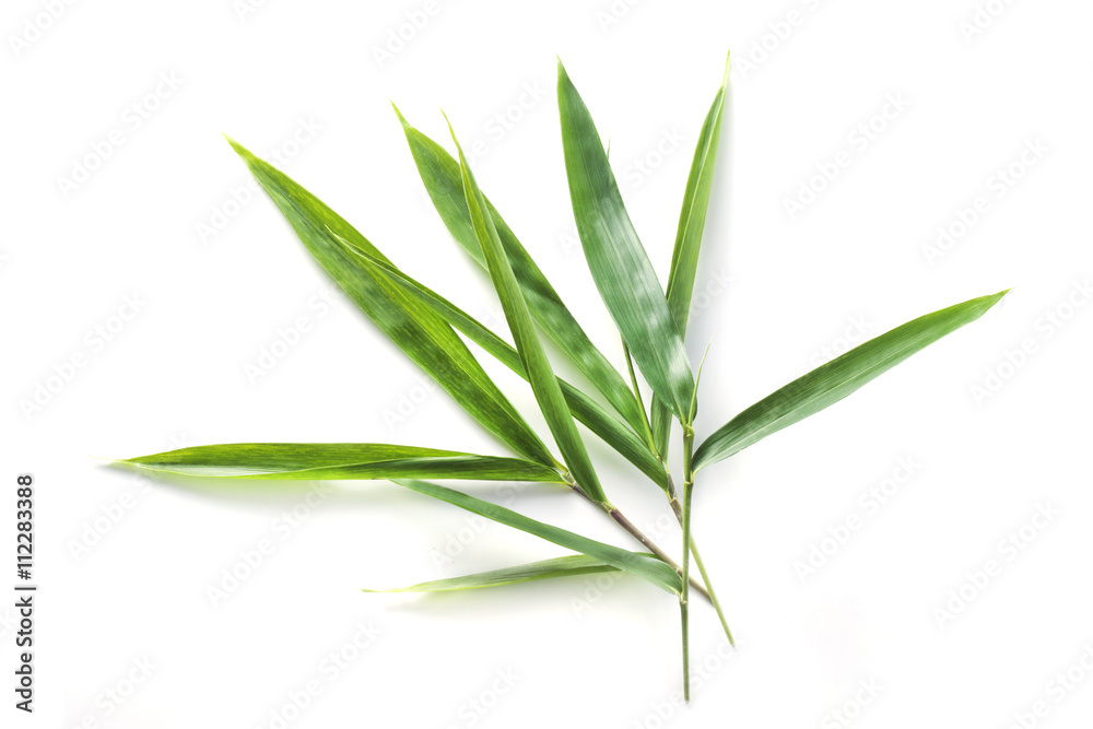 Fototapeta premium Bambusowa tratwa