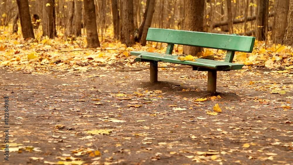 Autumn scene with a green bench and leaves falling down at Moscow forest park in Russia Autumn scene with a green bench and leaves falling down at Moscow forest park in Russia