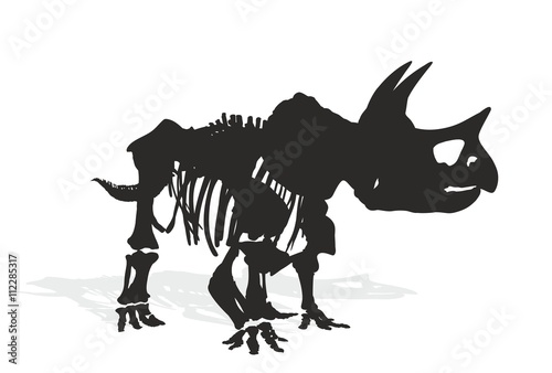 Skeleton of dinosaur. 