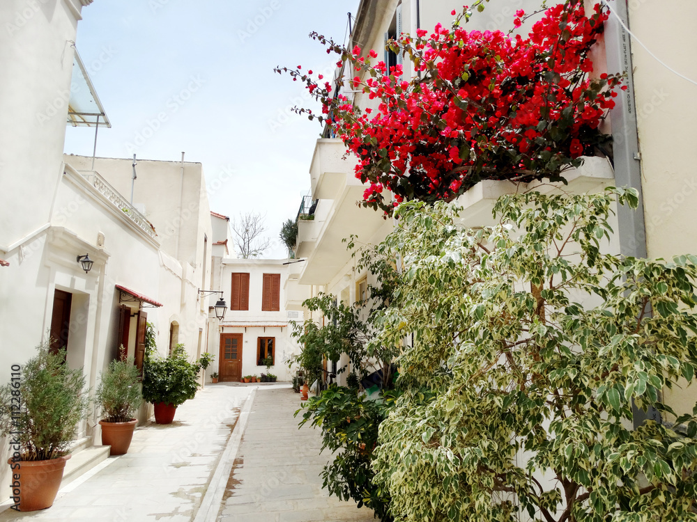 traditional street among bougainvillaea in rethymno city Greece