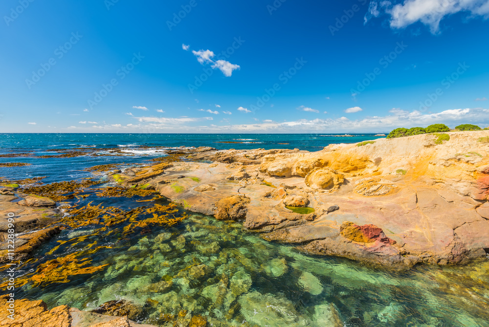 New Zealand colorful coast landscape