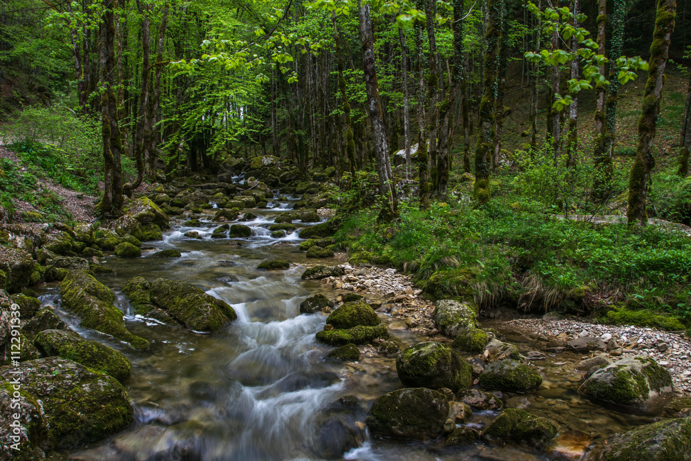 Rivière de l'Hérisson