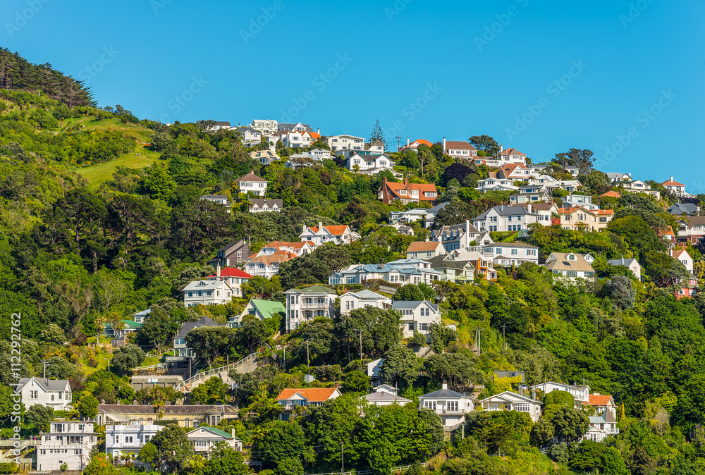 Obraz premium Colorful houses in Wellingto