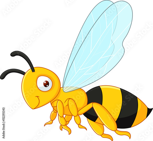 Bee cartoon flying
