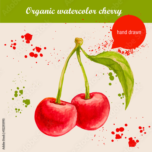 Vector watercolor hand drawn group of cherries with watercolor drops. Organic food illustration.