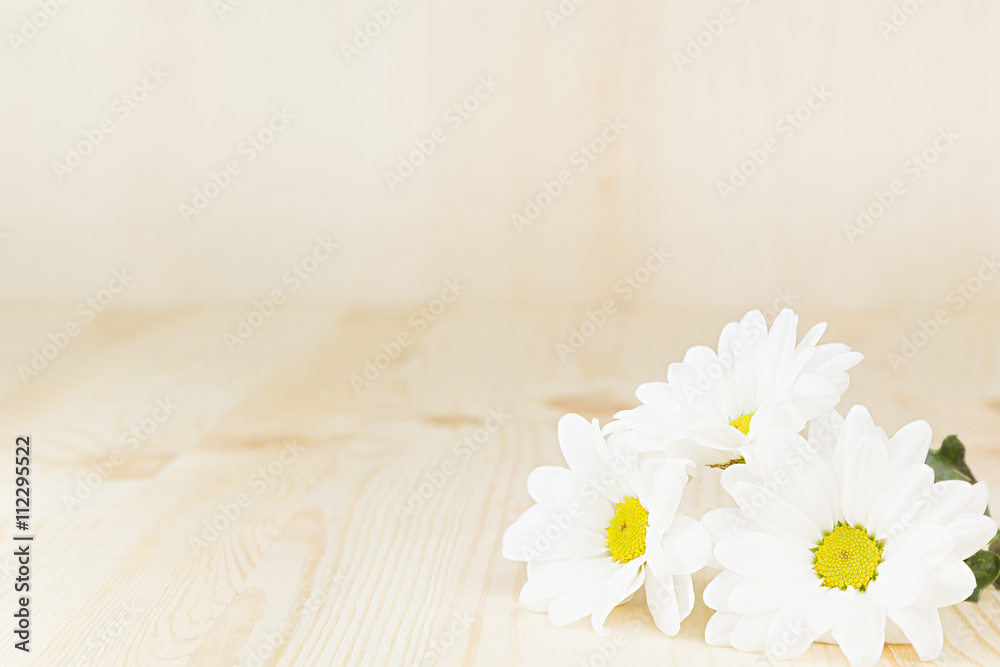 Obraz premium Spring white flowers on a wooden background. Copy space. Background. Texture.