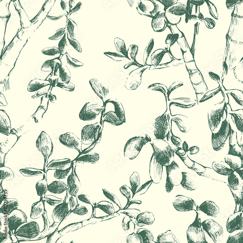 jade plant seamless pattern