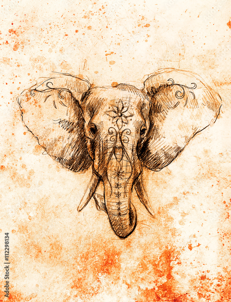 Obraz premium Elephant with floral ornament, pencil drawing on paper. Color effect and Computer collage.