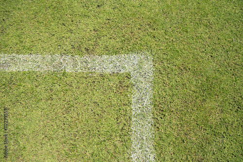Fotografía Lines on soccer field green grass