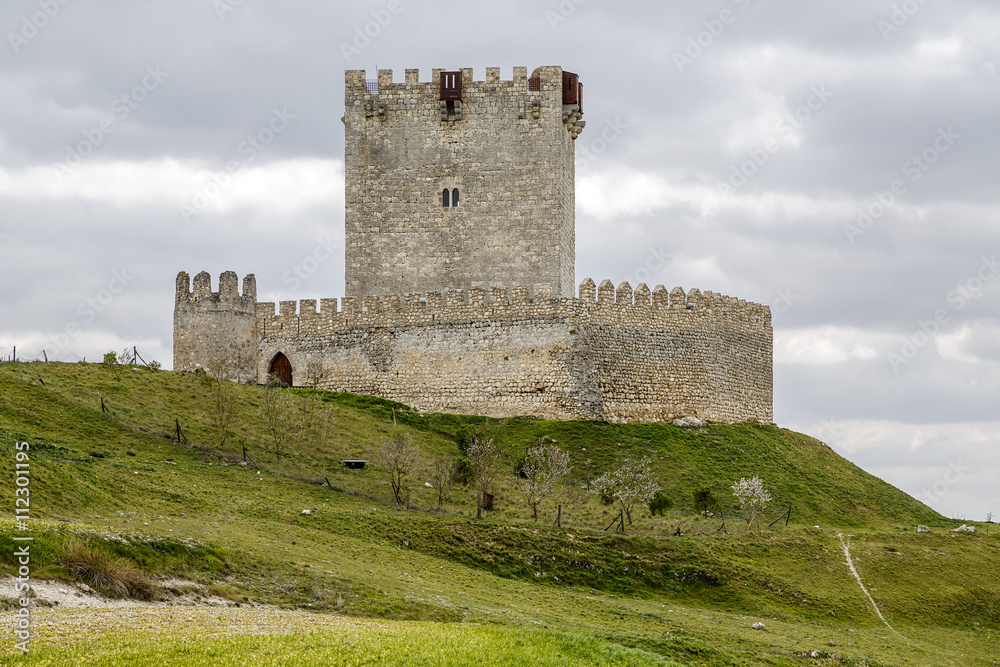 Tiedra castle, Valladolid Spain