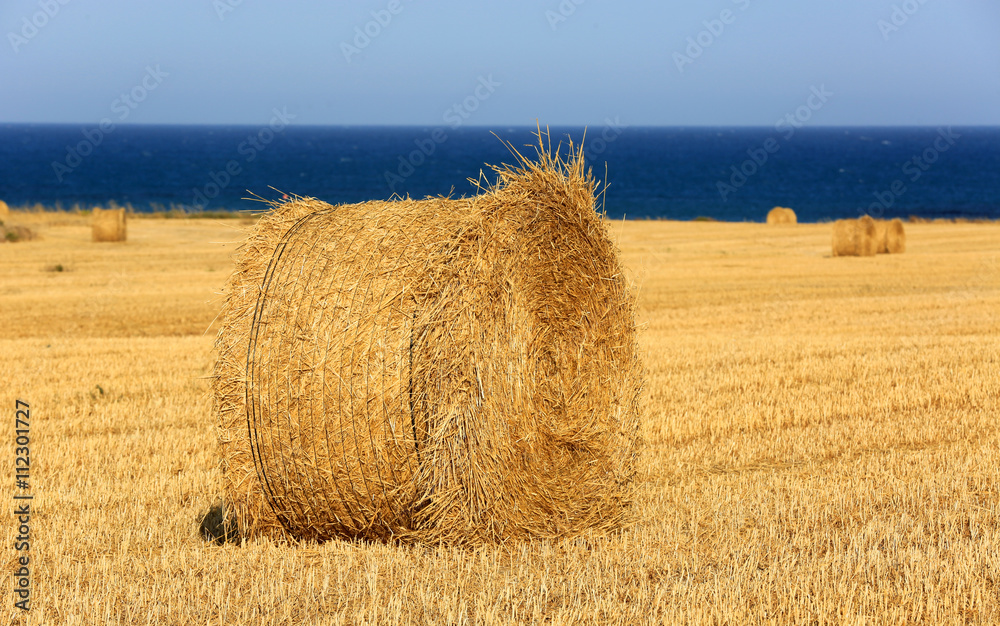 hay roll on seashore field