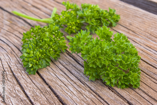 Curly leaf parsley on wooden surface.