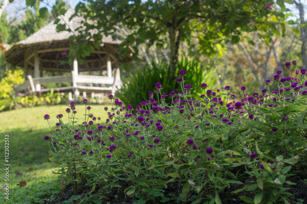 Thai garden with plants and trees, pavilion