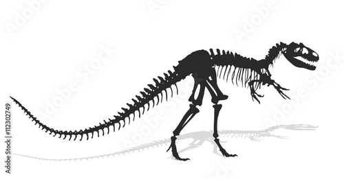 Skeleton of  dinosaur.   © designer_an