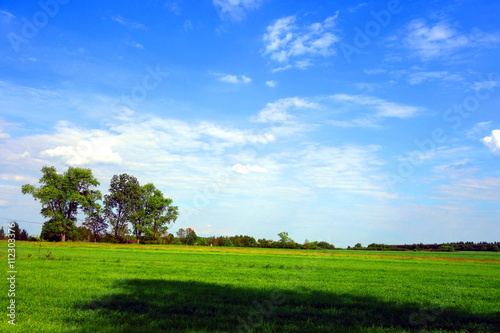 picturesque rural landscape with green meadow and calm blue sky