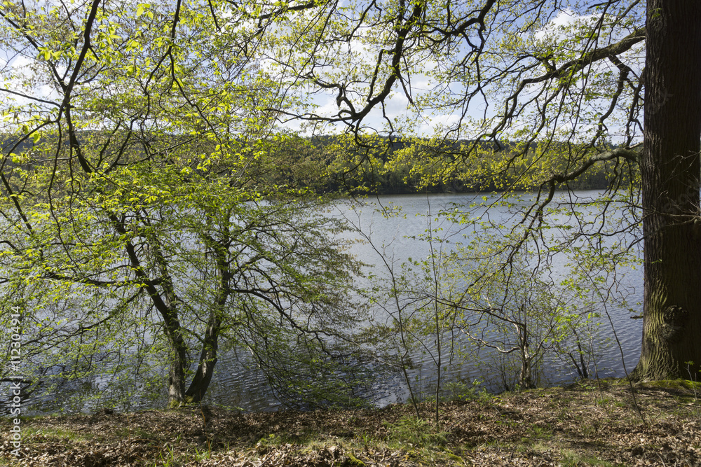 Möhnesee, Naturpark Arnsberger Wald, Sauerland, Nordrhein-Westfalen, Deutschland Möhnesee, Naturpark Arnsberger Wald, Sauerland, Nordrhein-Westfalen, Deutschland