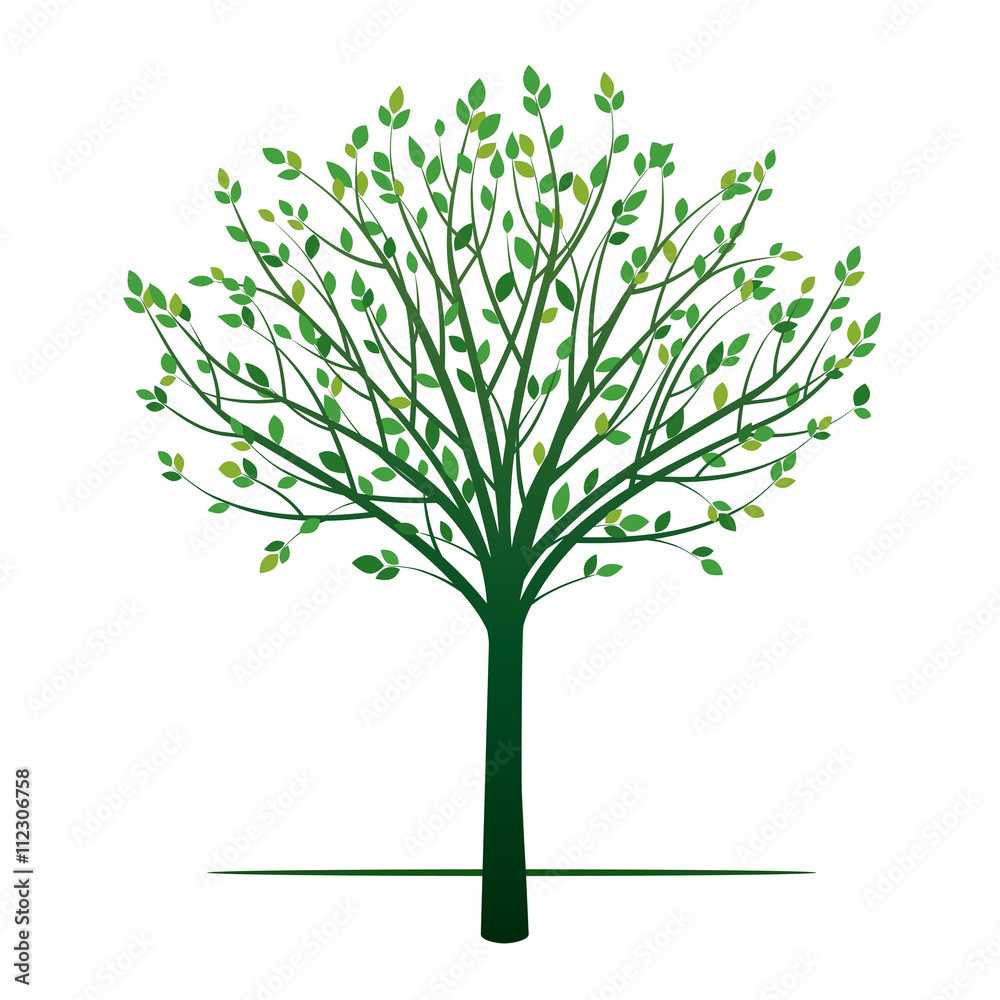 Shape of Green Tree. Vector Illustration. Shape of Green Tree. Vector Illustration.